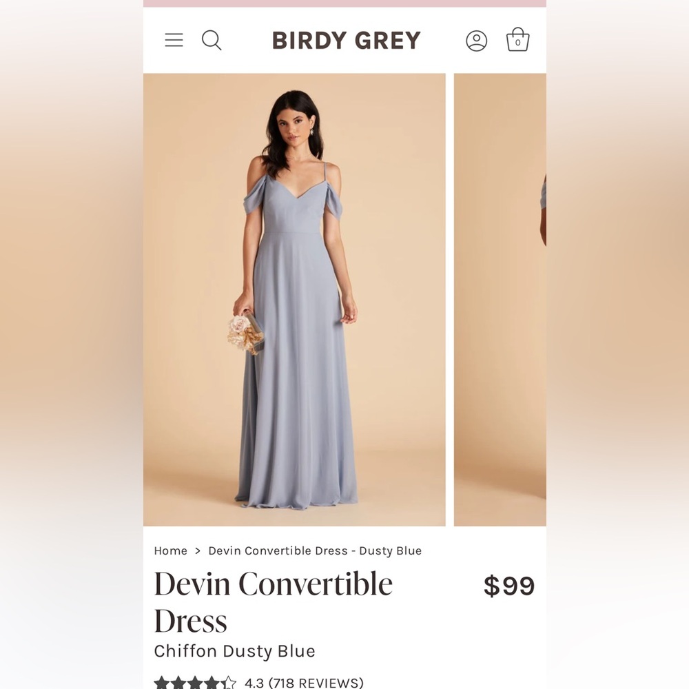 Birdy Grey “Devin Convertible” Bridesmaids Dress in Dusty Blue